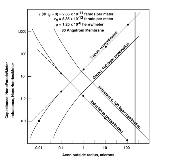 Capacitance and inductance of an axon