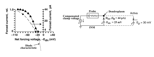 Electrostenolytic source impedance