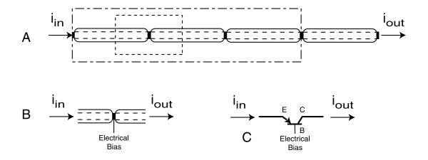 Fundamental neural path