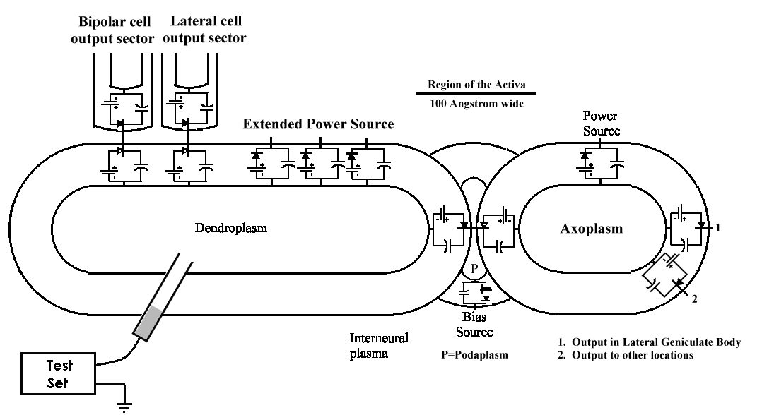 Test configuration for a Ganglion Cell