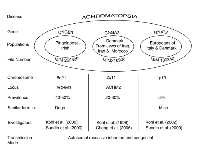 achromatopsia2007 (46K)