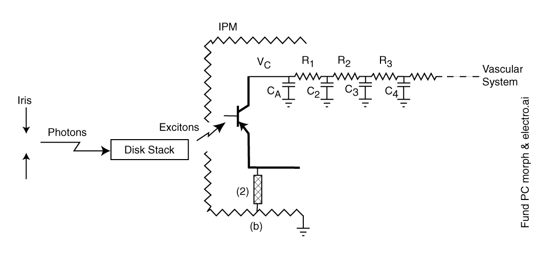 adaptation_iris_electrosten (17K)