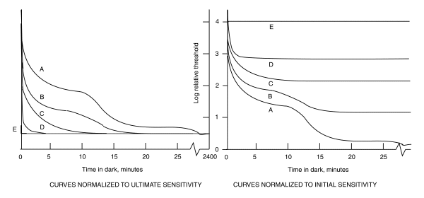 Normalized and abbreviated exponential sine function of dark adaptation @ 600 pixels