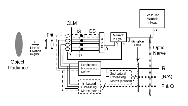 Simplified overall block diagram