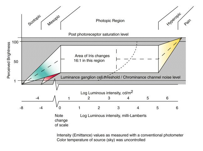 Luminous transfer function