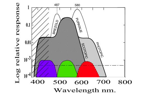 A comparison of luminous efficiency functions @ 600 pixels