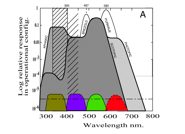 A comparison of luminous efficiency functions @ 600 pixels