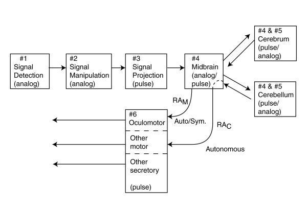 Top Block Diagram, Neural