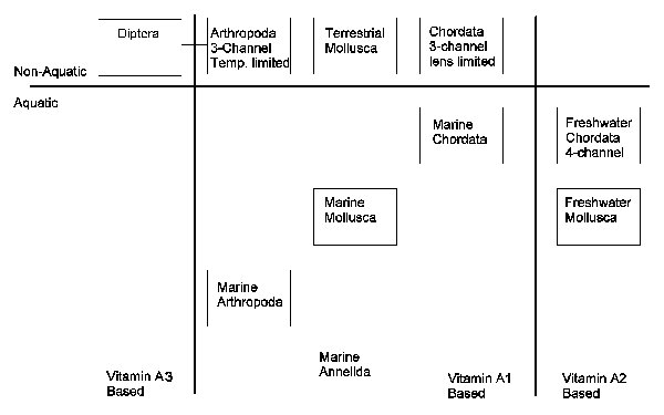 Map of animals by environment