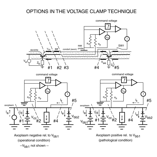 The voltage clamp schematic @ 600x1000 pixels